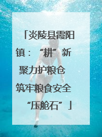 炎陵县霞阳镇：“耕”新聚力护粮仓 筑牢粮食安全“压舱石”