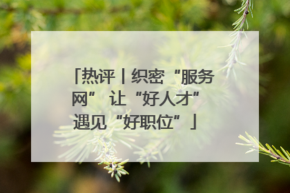 热评丨织密“服务网” 让“好人才”遇见“好职位”