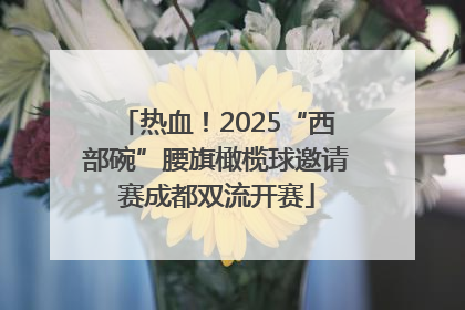热血！2025“西部碗”腰旗橄榄球邀请赛成都双流开赛