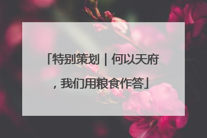 特别策划｜何以天府，我们用粮食作答
