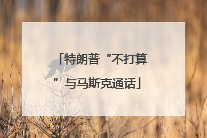 特朗普“不打算”与马斯克通话