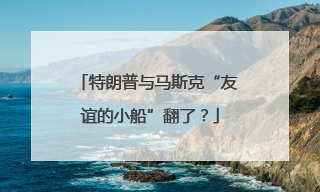特朗普与马斯克“友谊的小船”翻了？