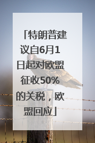 特朗普建议自6月1日起对欧盟征收50%的关税，欧盟回应