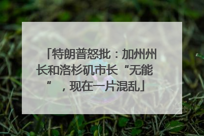 特朗普怒批：加州州长和洛杉矶市长“无能”，现在一片混乱