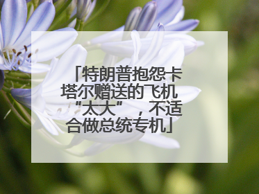 特朗普抱怨卡塔尔赠送的飞机“太大”，不适合做总统专机