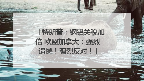 特朗普：钢铝关税加倍 欧盟加拿大：强烈遗憾！强烈反对！