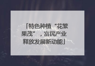 特色种植“花繁果茂”，富民产业释放发展新动能