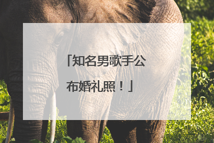 知名男歌手公布婚礼照！