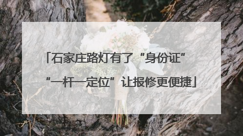 石家庄路灯有了“身份证” “一杆一定位”让报修更便捷