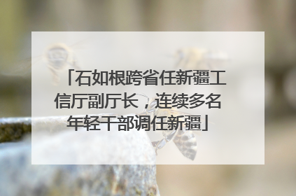 石如根跨省任新疆工信厅副厅长，连续多名年轻干部调任新疆
