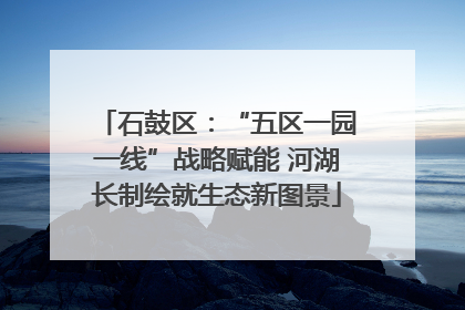石鼓区：“五区一园一线”战略赋能 河湖长制绘就生态新图景