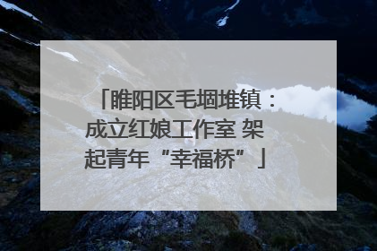 睢阳区毛堌堆镇：成立红娘工作室 架起青年“幸福桥”