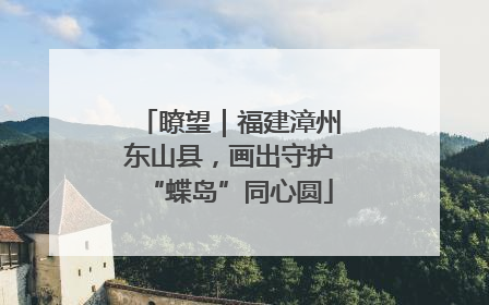 瞭望｜福建漳州东山县，画出守护“蝶岛”同心圆