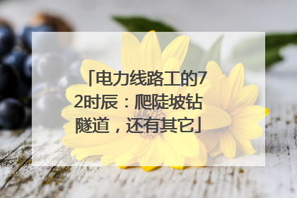 电力线路工的72时辰：爬陡坡钻隧道，还有其它