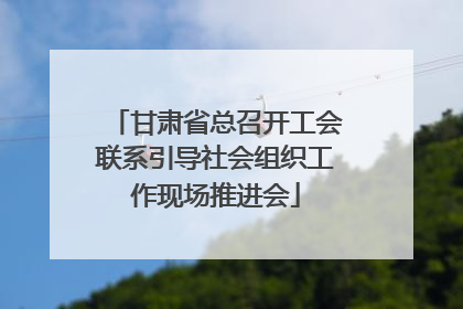 甘肃省总召开工会联系引导社会组织工作现场推进会