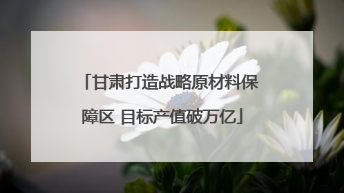 甘肃打造战略原材料保障区 目标产值破万亿