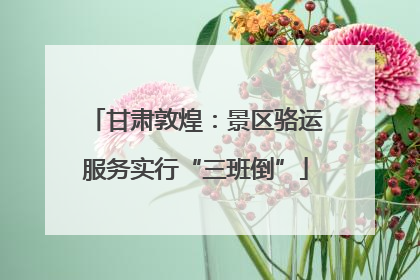 甘肃敦煌：景区骆运服务实行“三班倒”
