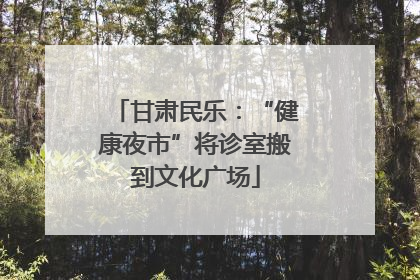 甘肃民乐：“健康夜市”将诊室搬到文化广场