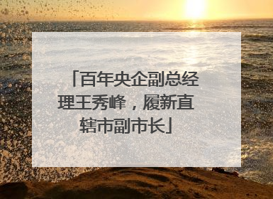 百年央企副总经理王秀峰，履新直辖市副市长