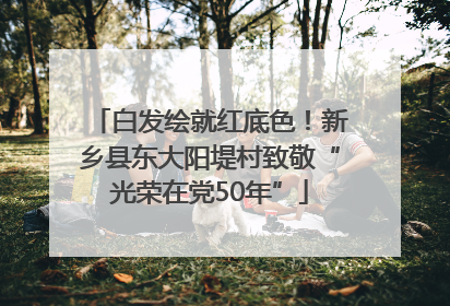 白发绘就红底色！新乡县东大阳堤村致敬“光荣在党50年”