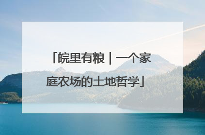 皖里有粮｜一个家庭农场的土地哲学