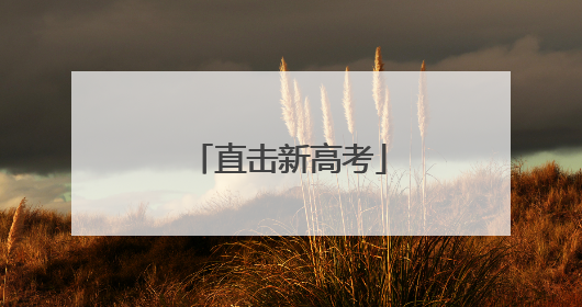 直击新高考