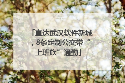直达武汉软件新城，8条定制公交带“上班族”通勤