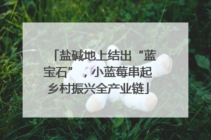盐碱地上结出“蓝宝石”，小蓝莓串起乡村振兴全产业链