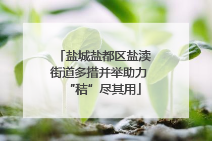 盐城盐都区盐渎街道多措并举助力“秸”尽其用