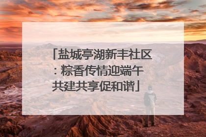 盐城亭湖新丰社区：粽香传情迎端午 共建共享促和谐