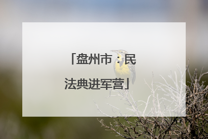 盘州市：民法典进军营