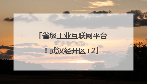 省级工业互联网平台！武汉经开区+2