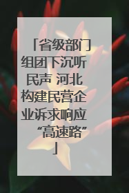 省级部门组团下沉听民声 河北构建民营企业诉求响应“高速路”