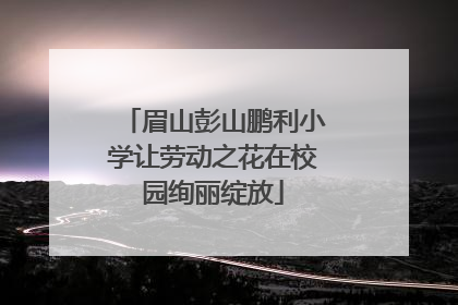 眉山彭山鹏利小学让劳动之花在校园绚丽绽放