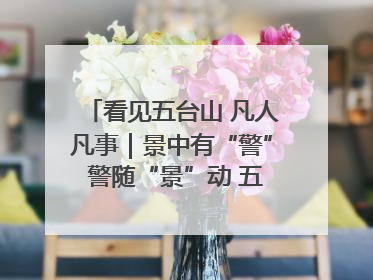 看见五台山 凡人凡事｜景中有“警” 警随“景”动 五台山景区“看得见”的平安守护