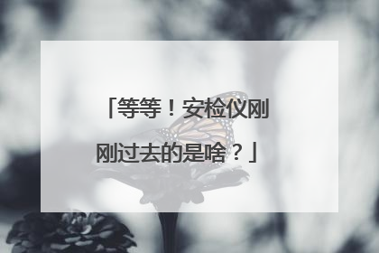 等等！安检仪刚刚过去的是啥？