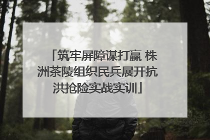 筑牢屏障谋打赢 株洲茶陵组织民兵展开抗洪抢险实战实训