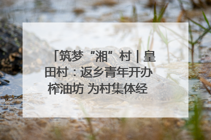 筑梦“湘”村｜皇田村：返乡青年开办榨油坊 为村集体经济“加油”