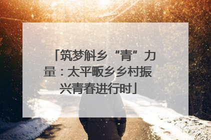 筑梦斛乡“青”力量：太平畈乡乡村振兴青春进行时