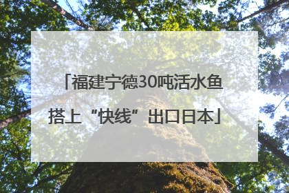 福建宁德30吨活水鱼搭上“快线”出口日本