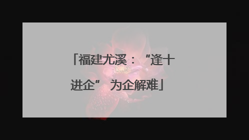 福建尤溪：“逢十进企” 为企解难