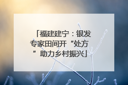福建建宁：银发专家田间开“处方”助力乡村振兴