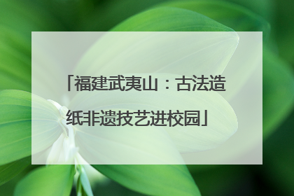 福建武夷山：古法造纸非遗技艺进校园