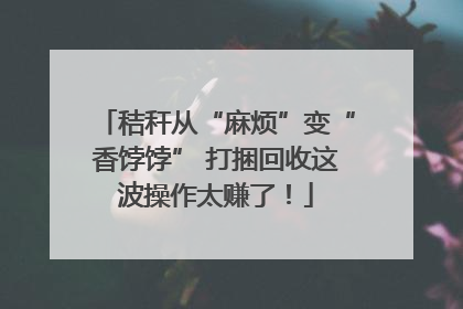 秸秆从“麻烦”变“香饽饽” 打捆回收这波操作太赚了！