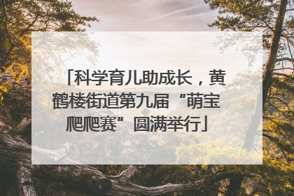 科学育儿助成长，黄鹤楼街道第九届“萌宝爬爬赛”圆满举行