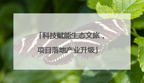科技赋能生态文旅，项目落地产业升级