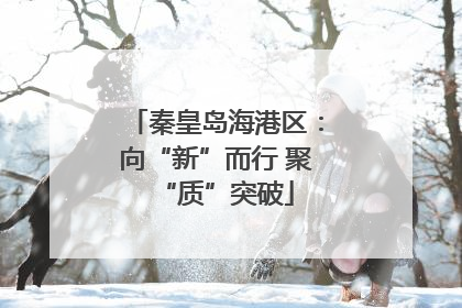 秦皇岛海港区：向“新”而行 聚“质”突破