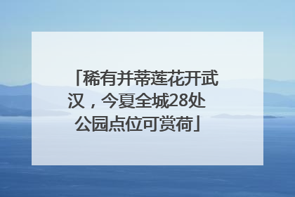 稀有并蒂莲花开武汉，今夏全城28处公园点位可赏荷