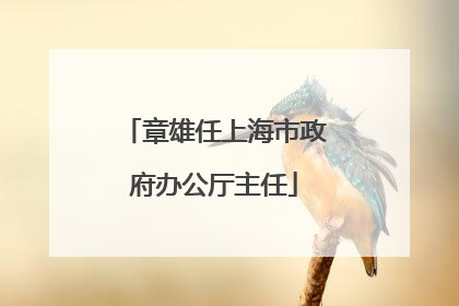 章雄任上海市政府办公厅主任