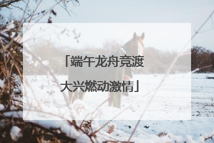 端午龙舟竞渡 大兴燃动激情